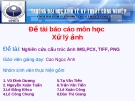 Đề tài: Nghiên cứu cấu trúc ảnh IMG,PCX, TIFF, PNG