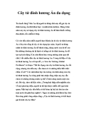 Cây tử đinh hương Ấn đa dụng 