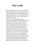 Nấm truffle 