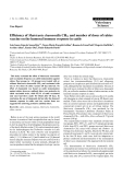 Báo cáo khoa học: "Efficiency of Matricaria chamomilla CH12 and number of doses of rabies vaccine on the humoral immune response in cattle"