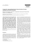 Báo cáo khoa học: "Comparative immunohistochemical characterization of canine seminomas and Sertoli cell tumors"