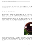 Bí quyết nấu chè đỗ đen nhừ, ngon