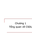 Bài giảng Nhập môn Cơ sở dữ liệu - Chương 1