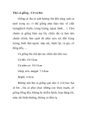 Thả cá giống - Cỡ cá thả 