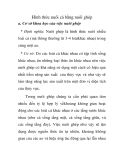Hình thức nuôi cá bằng nuôi ghép