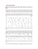 15. Quy Luật Nói Thẳng 