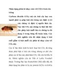 Nhận dạng phân tử nhạy cảm với CO2 ở loài côn trùng 