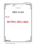 Tiểu luận: Đường hóa học