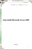 Giáo trình về Microsoft Access 2003