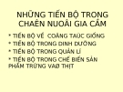 Những tiến bộ trong chăn nuôi gia cầm