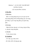 Hình học 7 - §3 CÁC GÓC TẠO BỞI MỘT ĐƯỜNG THẲNG CẮT HAI ĐƯỜNG THẲNG