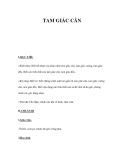 TAM GIÁC CÂN 