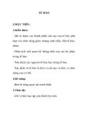 GIÁO ÁN SINH 11: TẾ BÀO
