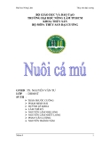Kỹ thuật nuôi cá mú