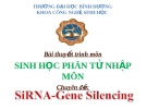 Bài thuyết trình môn Sinh học phân tử - Chuyên đề: SiARN Gene Silencing