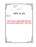 Tiểu luận: Thực trạng và giải pháp thúc đẩy quá trình cổ phần hoá ở Việt Nam