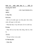 Giáo án  môn sinh lớp 6 -  Tiết 13  Chương III: THÂN