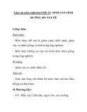 Giáo án môn sinh lớp 6Tiết 31: SINH SẢN SINH DƯỠNG DO NGƯỜI 