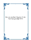 Báo cáo của Ban Công tác về việc Việt Nam gia nhập WTO