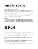 KHE CẮM BỘ NHỚ