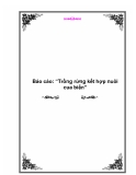 Báo cáo: “Trồng rừng kết hợp nuôi cua biển”