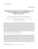 Báo cáo khoa học: "Histological investigation of the multiplication step in secondary somatic embryogenesis of Quercus robur L"