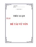 TIỂU LUẬN:ĐỀ TÀI VỀ VỐN