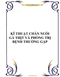 Kỹ thuật chăn nuôi gà thịt và phòng trị bệnh thường gặp