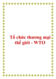 Giáo trình quan hệ kinh tế quốc tế - Tổ chức thương mại thế giới - WTO