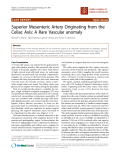 báo cáo khoa học: "Superior Mesenteric Artery originating from the celiac axis: A rare vascular anomaly"