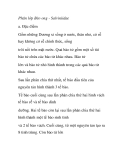 Phân lớp Bèo ong - Salviniidae 