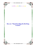 Báo cáo: “Mạch Dao Động Đa Hài Dùng Tranzito”