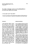 Báo cáo lâm nghiệp: "The effect of nitrogen content on the of Scots pine needles and shoots photosynthesis"