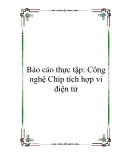 Báo cáo thực tập: Công nghệ Chip tích hợp vi điện tử