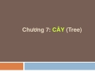 Chương 7: Cây