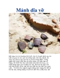 Mảnh dĩa vỡ  