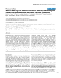 Báo cáo y học: "Histone deacetylase inhibitors modulate metalloproteinase gene expression in chondrocytes and block cartilage resorption"