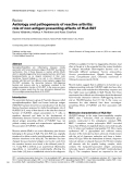 Báo cáo y học: "Aetiology and pathogenesis of reactive arthritis: role of non-antigen-presenting effects of HLA-B27"