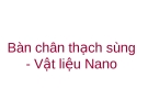 Bàn chân thạch sùng - vật liệu Nano