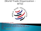 Tài liệu Tổ chức thương mại thế giới WTO