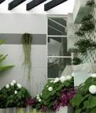 Tiểu cảnh trong nhà phố