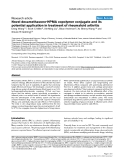 Novel dexamethasone-HPMA copolymer conjugate and its potential application in treatment of rheumatoid arthritis