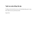 Ngôi sao mùa đông ấm áp