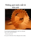 Những giọt nước mắt từ trên trời  