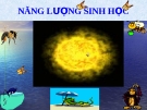 Bài giảng năng lượng sinh học