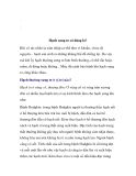 Hạch sưng to có đáng lo