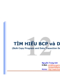 TÌM HIỂU BCP và DTS