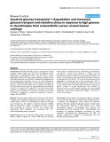 Báo cáo y học: " Impaired glucose transporter-1 degradation and increased glucose transport and oxidative stress in response to high glucose in chondrocytes from osteoarthritic versus normal human cartilag"