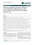 Báo cáo y học: "Pentosan polysulfate promotes proliferation and chondrogenic differentiation of adult human bone marrow-derived mesenchymal precursor cells"
