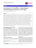 Báo cáo y học: " Involvement of microRNAs in physiological and pathological processes in the lung"